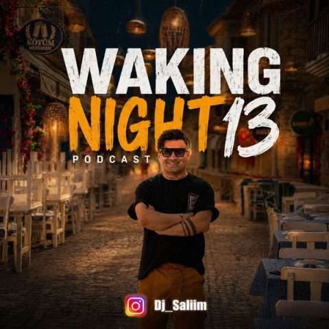 دانلود آهنگ Waking Night 13 دیجی سلیم