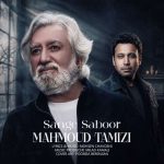 دانلود آهنگ سنگ صبور محمود تمیزی