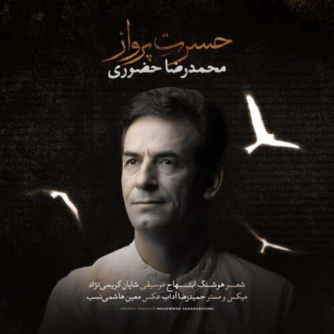 دانلود آهنگ حسرت پرواز محمدرضا حضورى